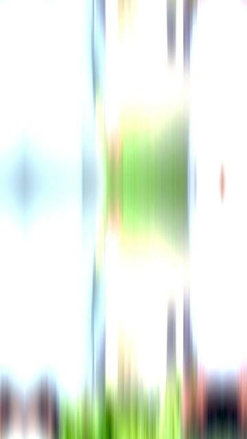 @🥷 ꪑꫀꫝꪖ𝘳🥷