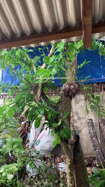@Mabel's Shop