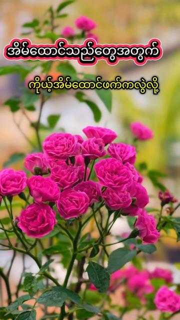 @๐๐๐ญ๐ฎ๐ซ๐ & ๐๐ก๐๐ฆ๐ฆ๐