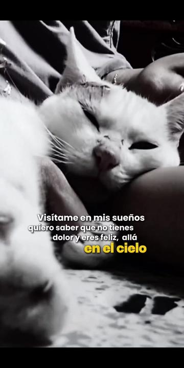 @Mile