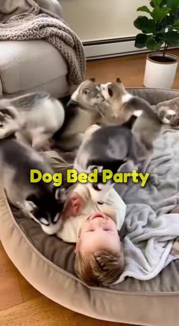 @brainmalfunctiontv