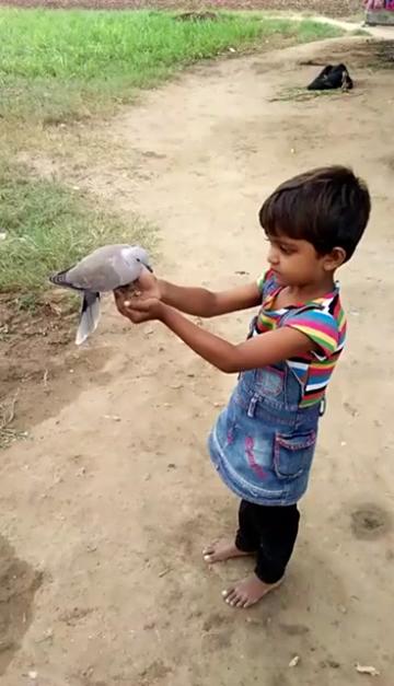 @user849877