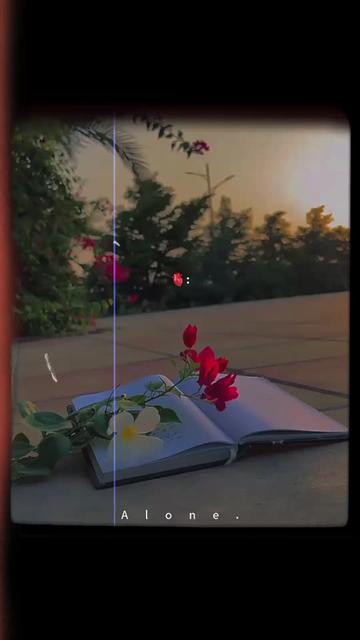 @"𝘼𝙡𝙤𝙣𝙚"