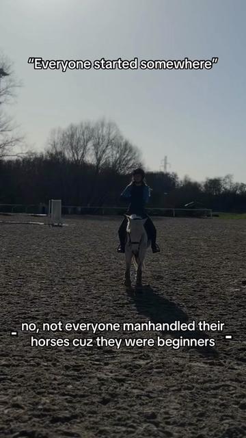 @SchimmelponyParadise