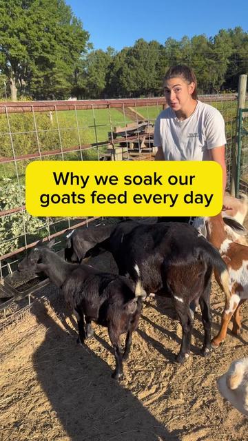 @Heart & Hoof Homestead