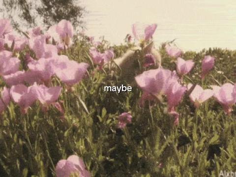 @𝝑୧ :: ENVY &ndash; ˚̣̣̣୧ 30k+
