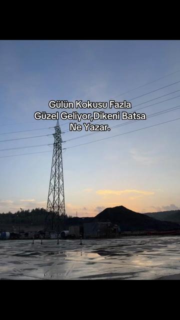 @kutlubulut0