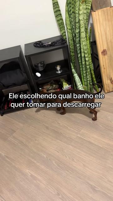 @giandoaxe