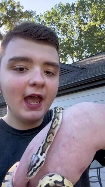 @Jax&rsquo;s Reptiles!