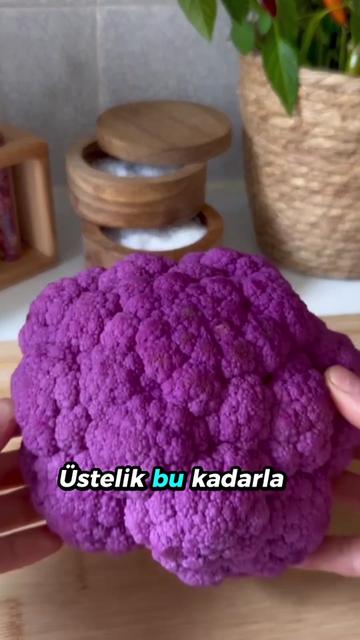 @beynegrafya