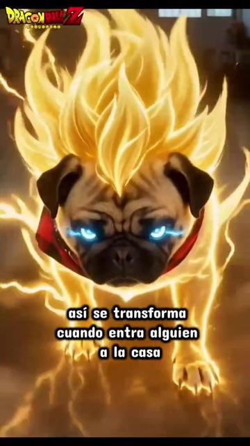 @moli
