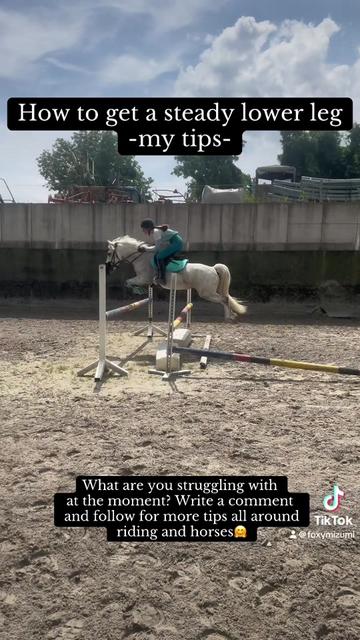 @SchimmelponyParadise