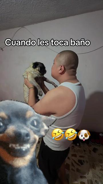 @sandyeleguacita