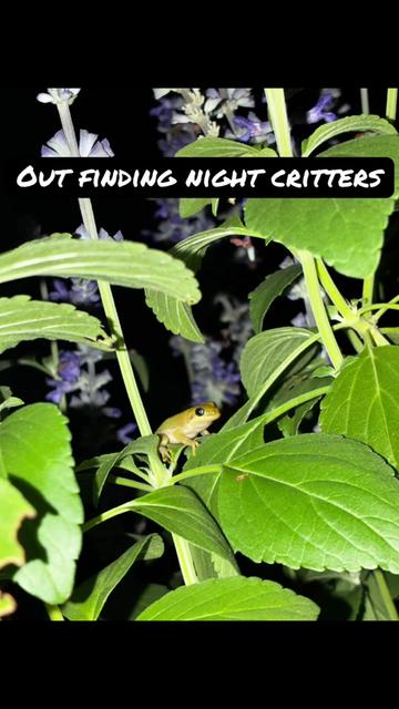 @Frontier_Wildlife_Solutions