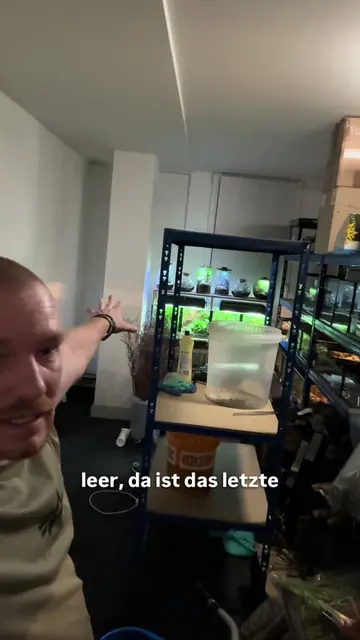 @Home-of-Insects