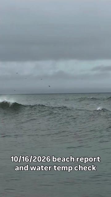 @SurfcastNJ Joe Gray
