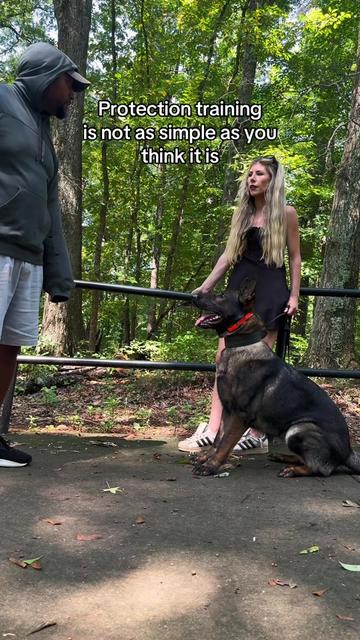 @True Guard K9 I Tara