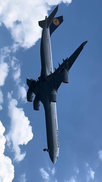 @AvHouse JFK