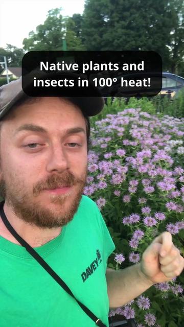 @Andrew The Arborist