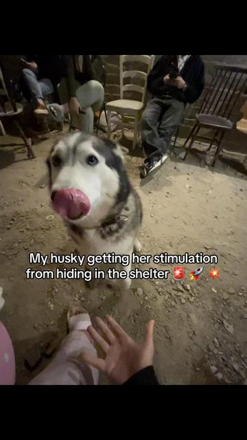 @Nala & Bella 💜
