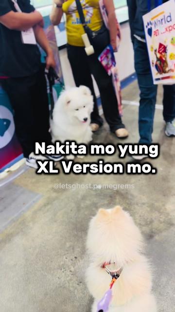 @G H O S T TheRunnerPom