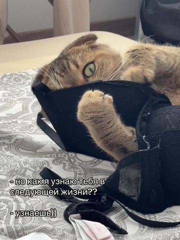 @_wzmhqd_
