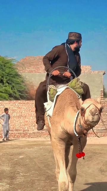 @Manzoor palh