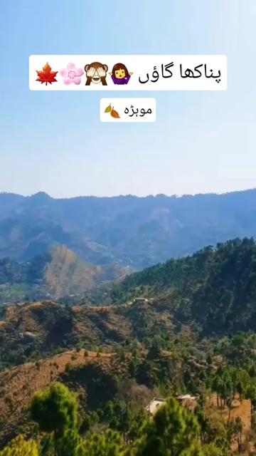 @🕊️.⋆کلمدم کشمیری.⋆👸
