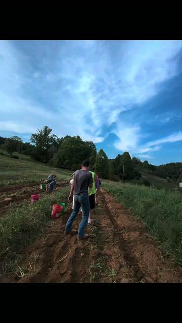 @Sami • LDH Farmstead
