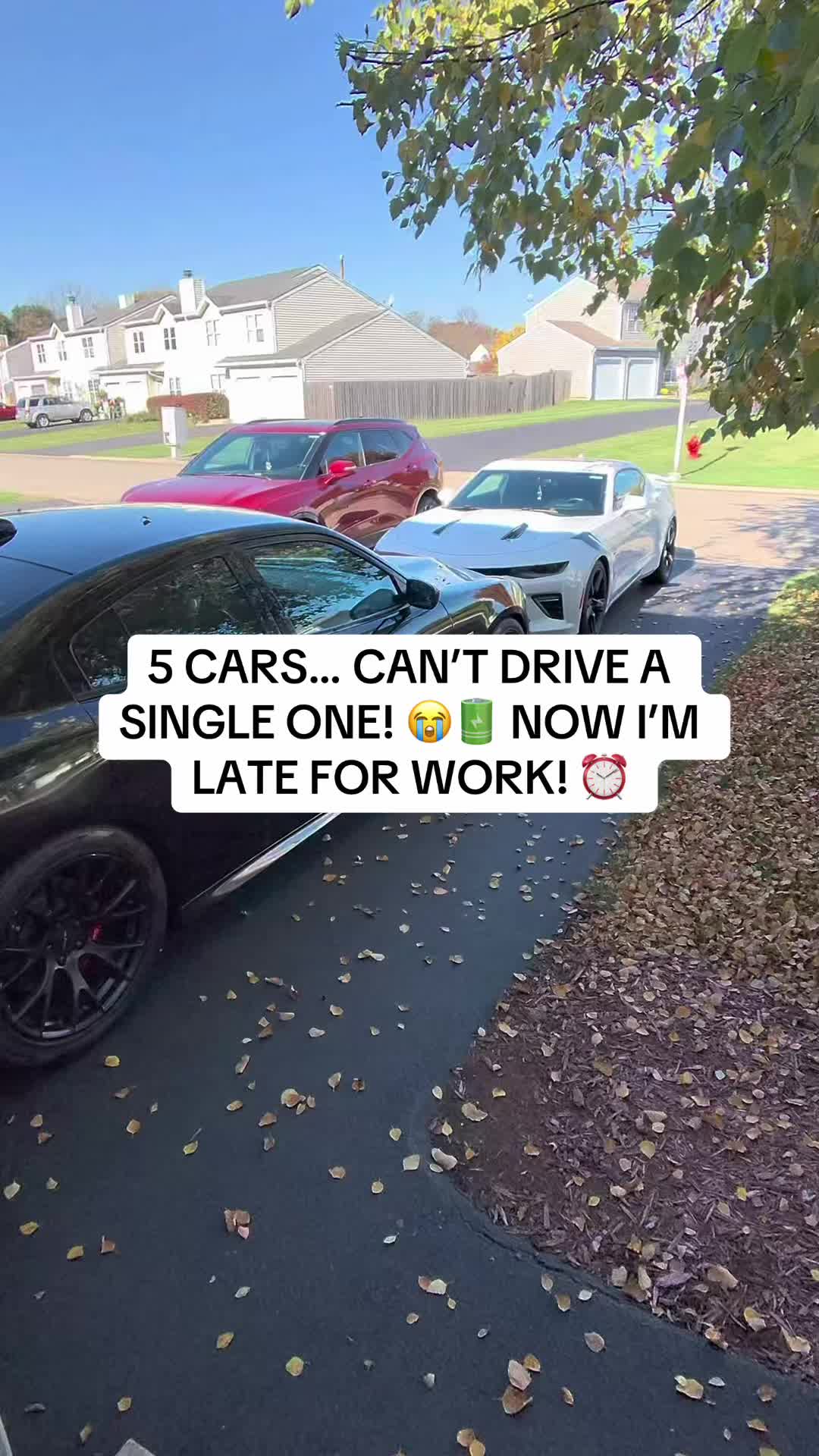 @MR. NICE GUY
