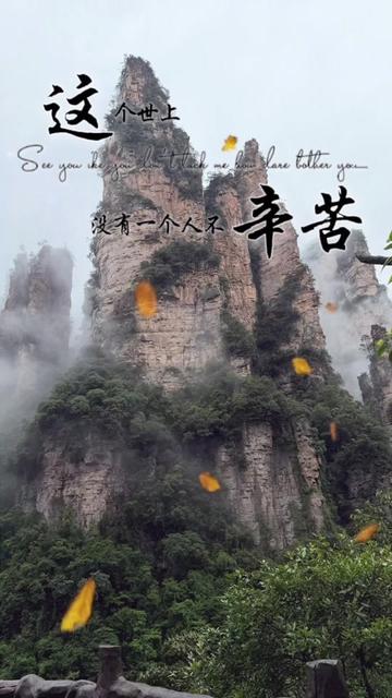 @能量姐
