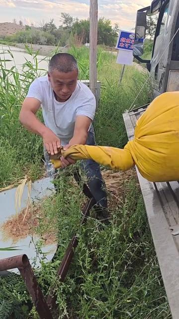 @Fishing King
