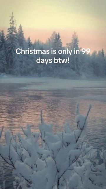 @christmas vibes!