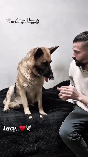 @CAndy-♡