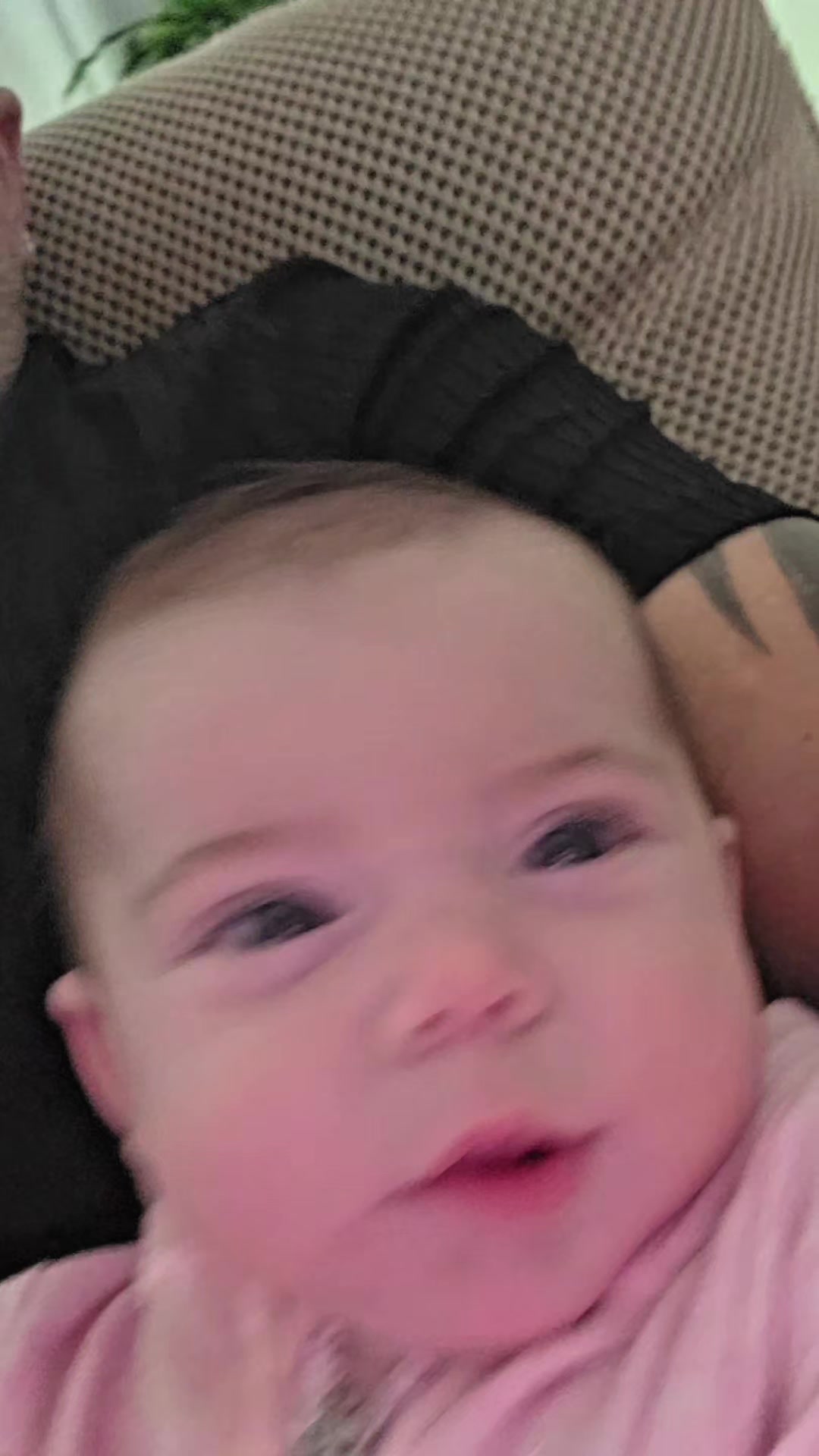 @La Famille Nucl&eacute;aire 2.0
