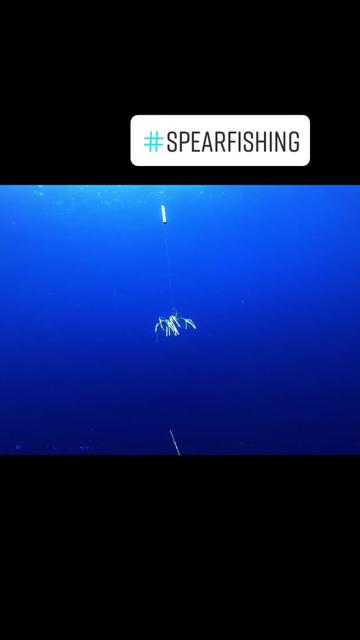 @kairosspearfishing