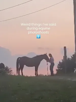 @Beth - Epona Media