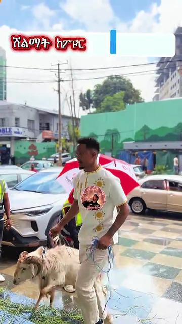 @๐๐ข๐ง๐๐ฆข๐๐๐โพ๏ธ