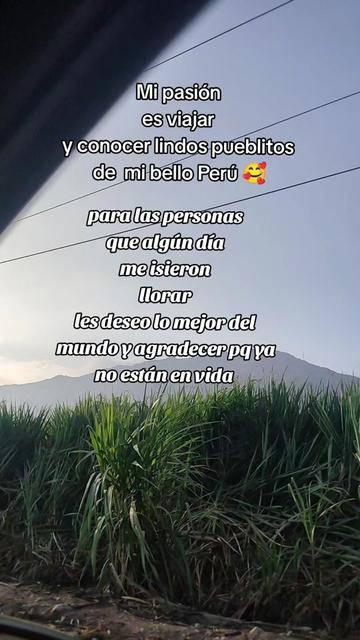 @yudit🥰