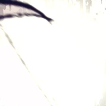 @⦻ | Brandeen |⦻
