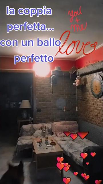 @Moni Monik