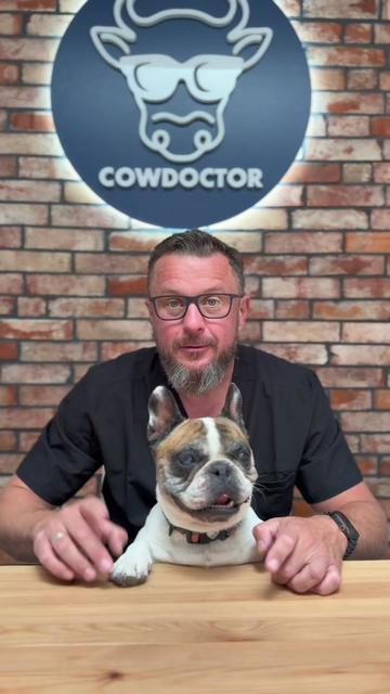 @cowdoctor_pl