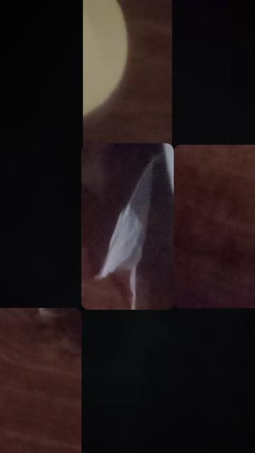 @𝑩𝒖𝒏𝒏𝒚