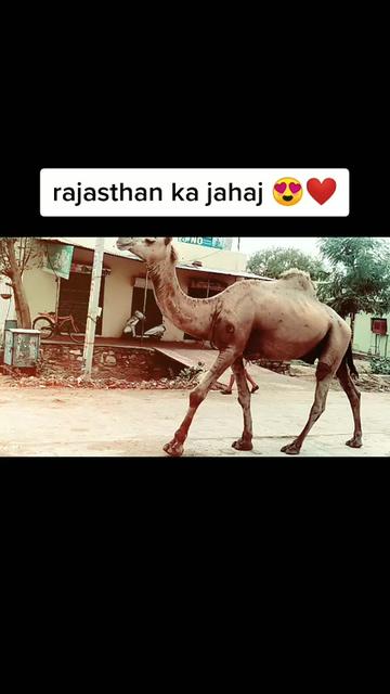 @Vaibhav Shrivastava