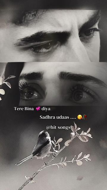 @HIT SONGS&hellip;.✍️🥀
