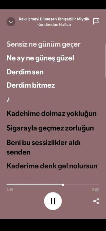 @spotifyy top
