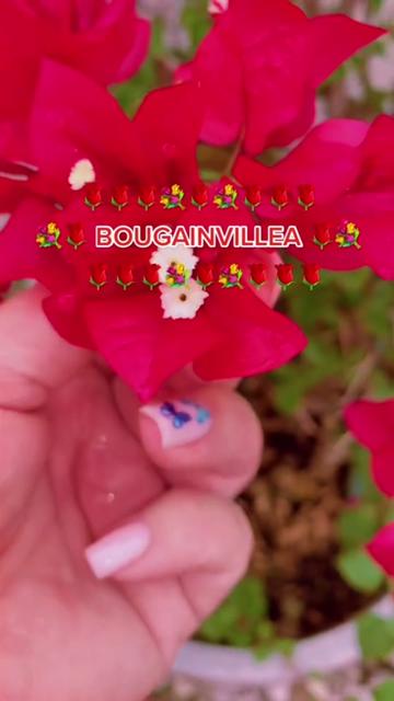 @Jacquie28