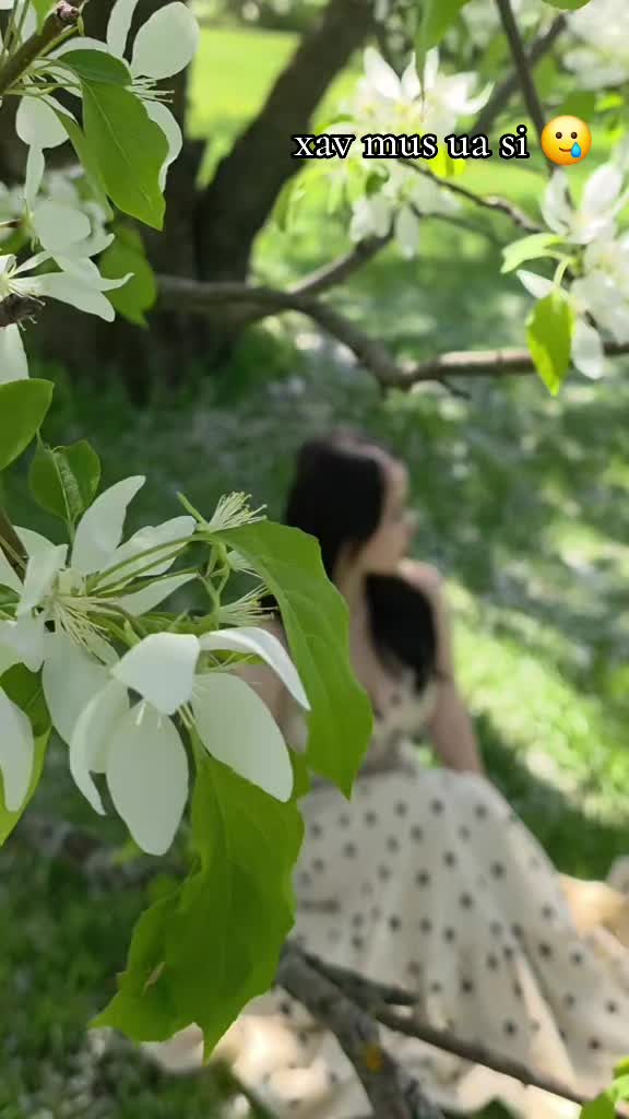 @CMOUA🌸🌸