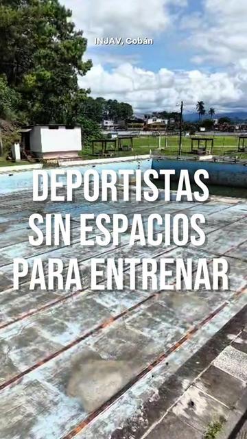 @José Chic