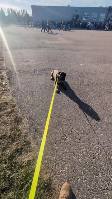 @Kavik.K9